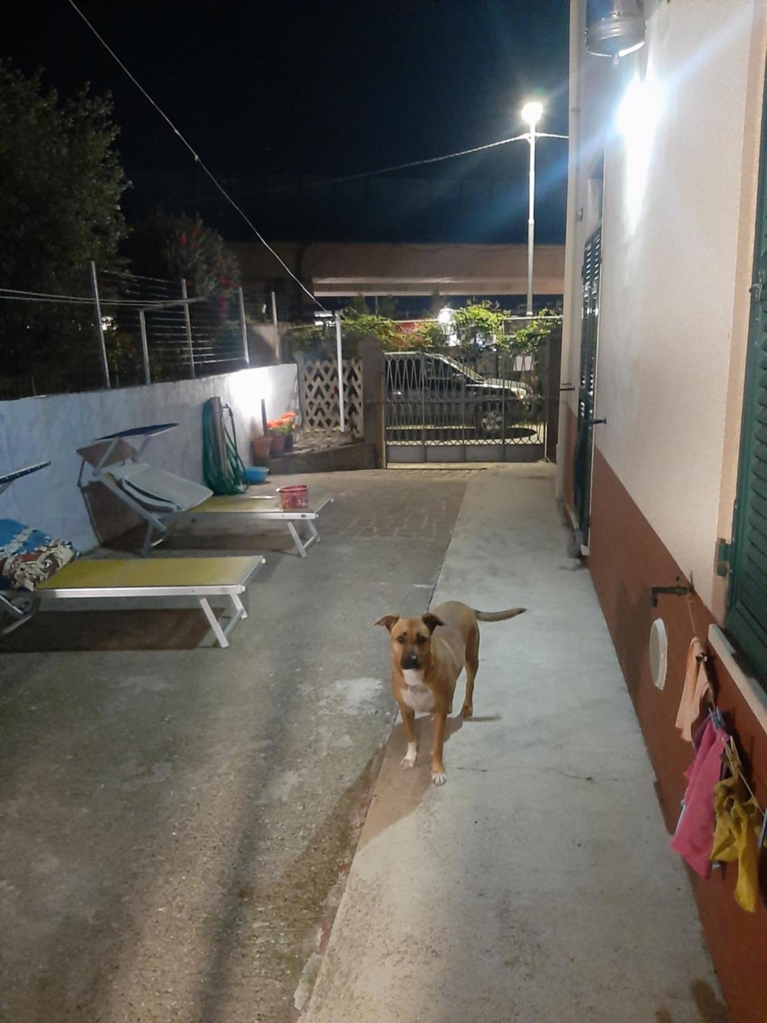 Casa Vacanza Dh La Spezia Esterno foto